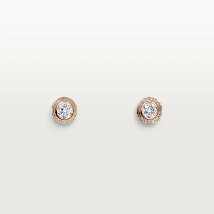 Earrings F870