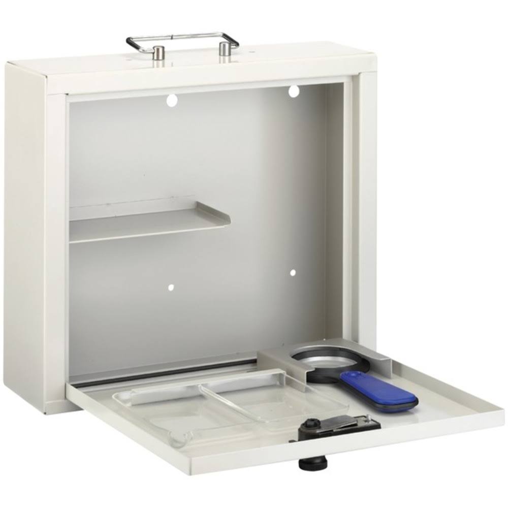 Locking Medication Case F8413