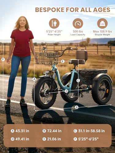 Electric Tricycle 20" Fat Tire 3 Wheel Folding with Large Rear Basket W100