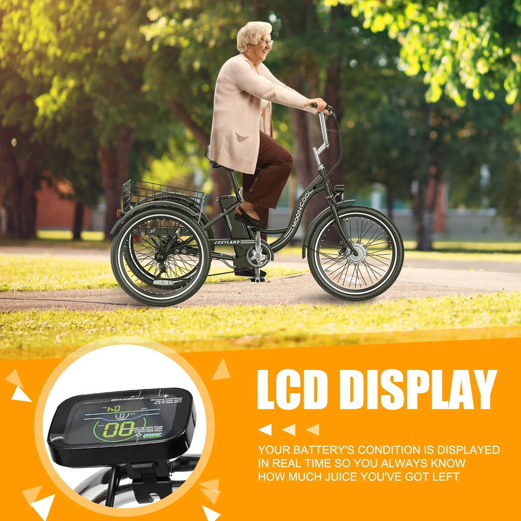 Adult Electric Tricycle, 3 Wheel Electric Bike, 7-Speed, Removable Lithium Battery K4021