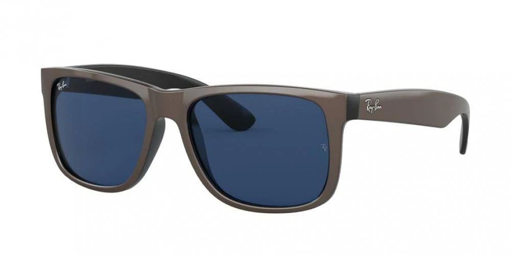 Sunglasses J5821
