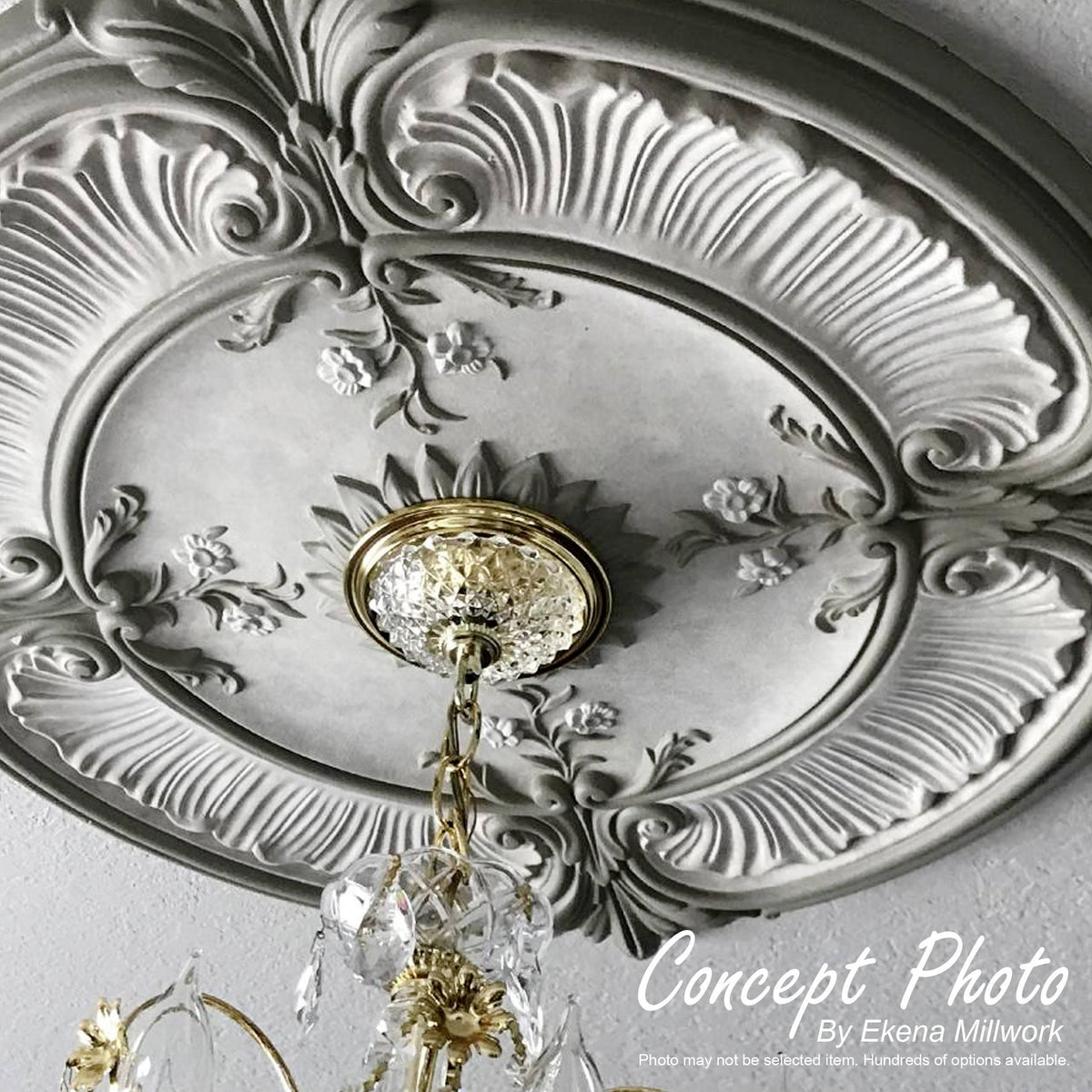 18 inch Ceiling Medallion F289