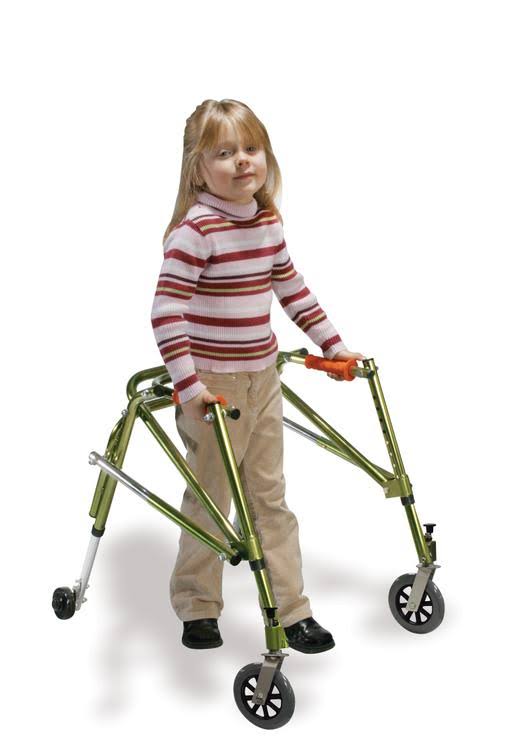 Posterior Posture Walker T20919