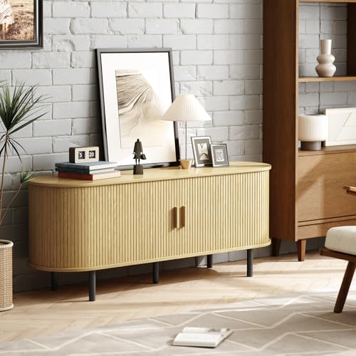 55" TV Stand with Power Outlet and Adjustable Shelves J525767
