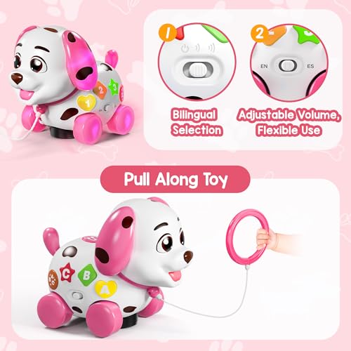 Bilingual Musical Learning Toy with Music Light W7372