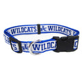 Pet Collar N2998