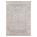 Indoor Area Rug V183204