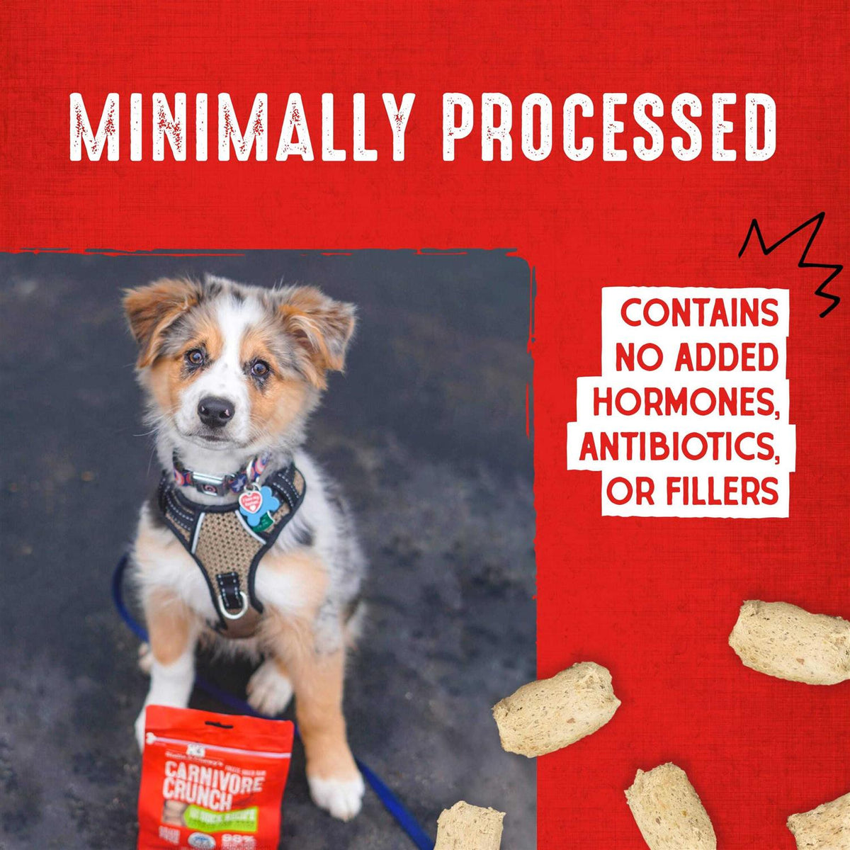 Dog Treats A40115