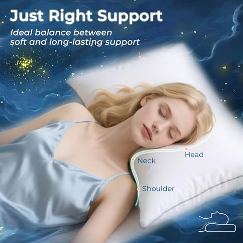King Size Pillows Set of 4 Down Alternative R7933
