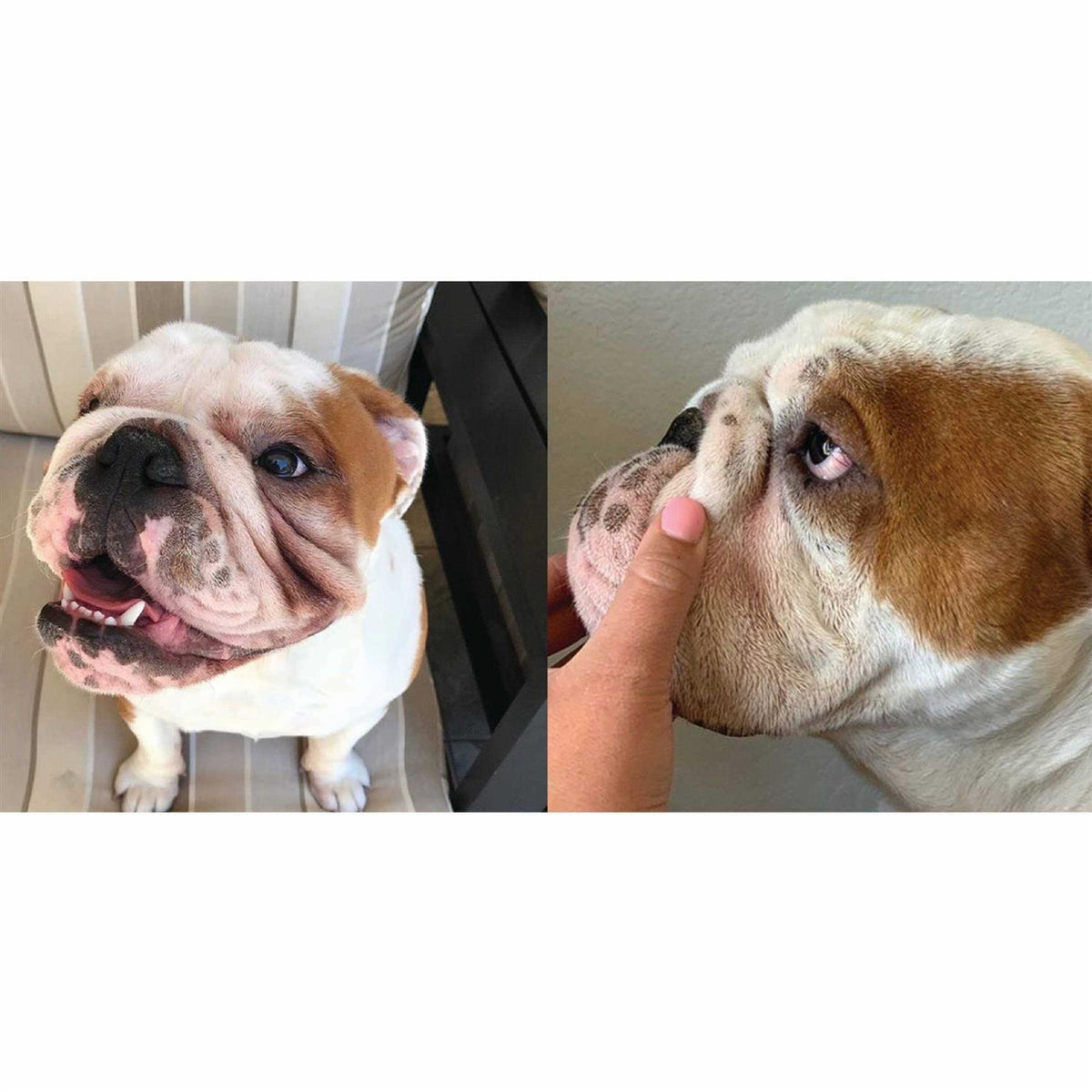 Wrinkle Paste + Wrinkle Wipes Q87624