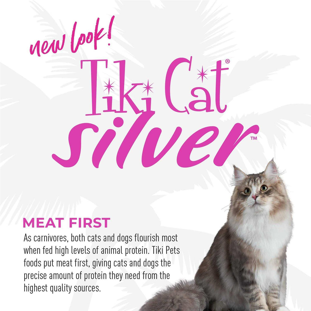 Salmon Wet Food O307