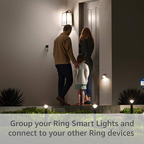 A19 Smart LED Bulb, White W6877