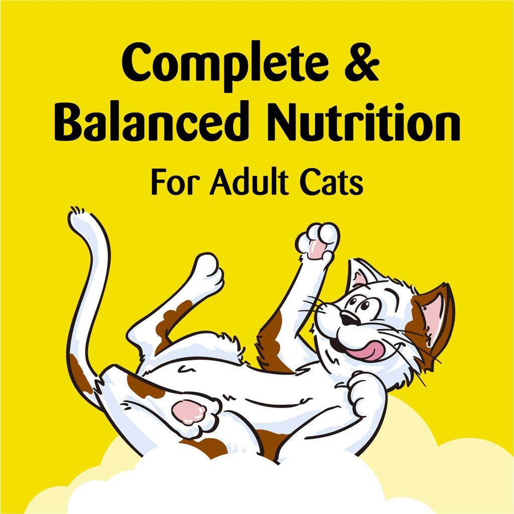 Treat Dispensing Cat Toy Q788