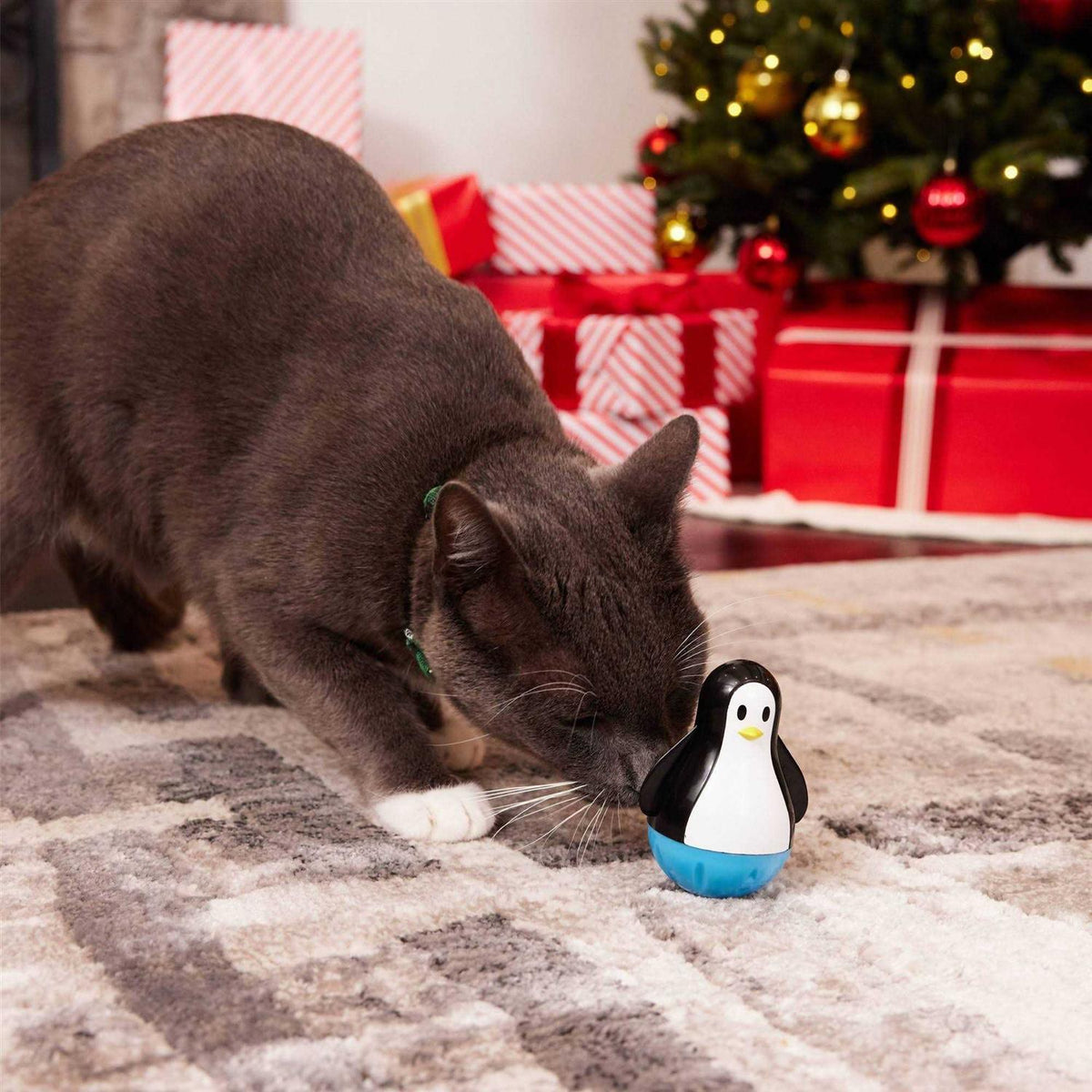 Treat Dispensing Cat Toy Q788
