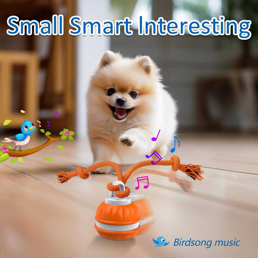 Interactive Dog Toys Motion Activated Dog Ball N313