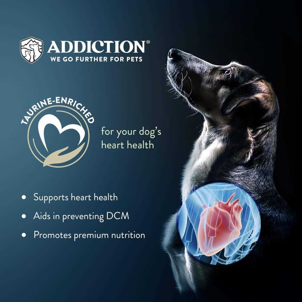 Dry Dog Food C489