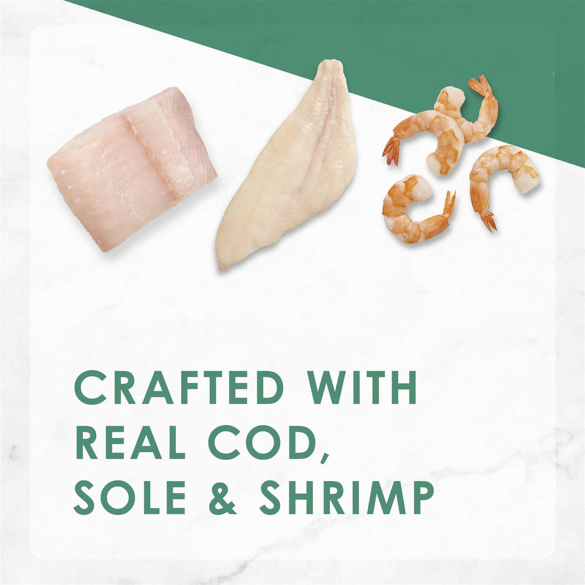Cod Sole & Shrimp Pate Wet Cat Food R325828