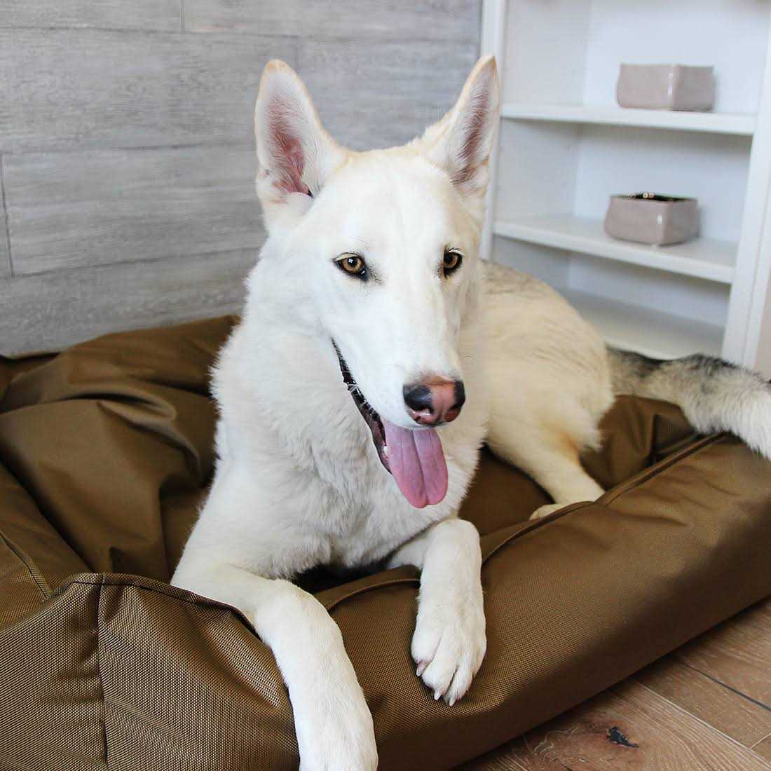 Ballistic Dog Bed N705