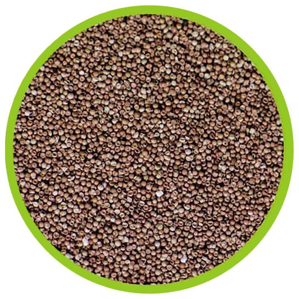 Pet Supplies F2733