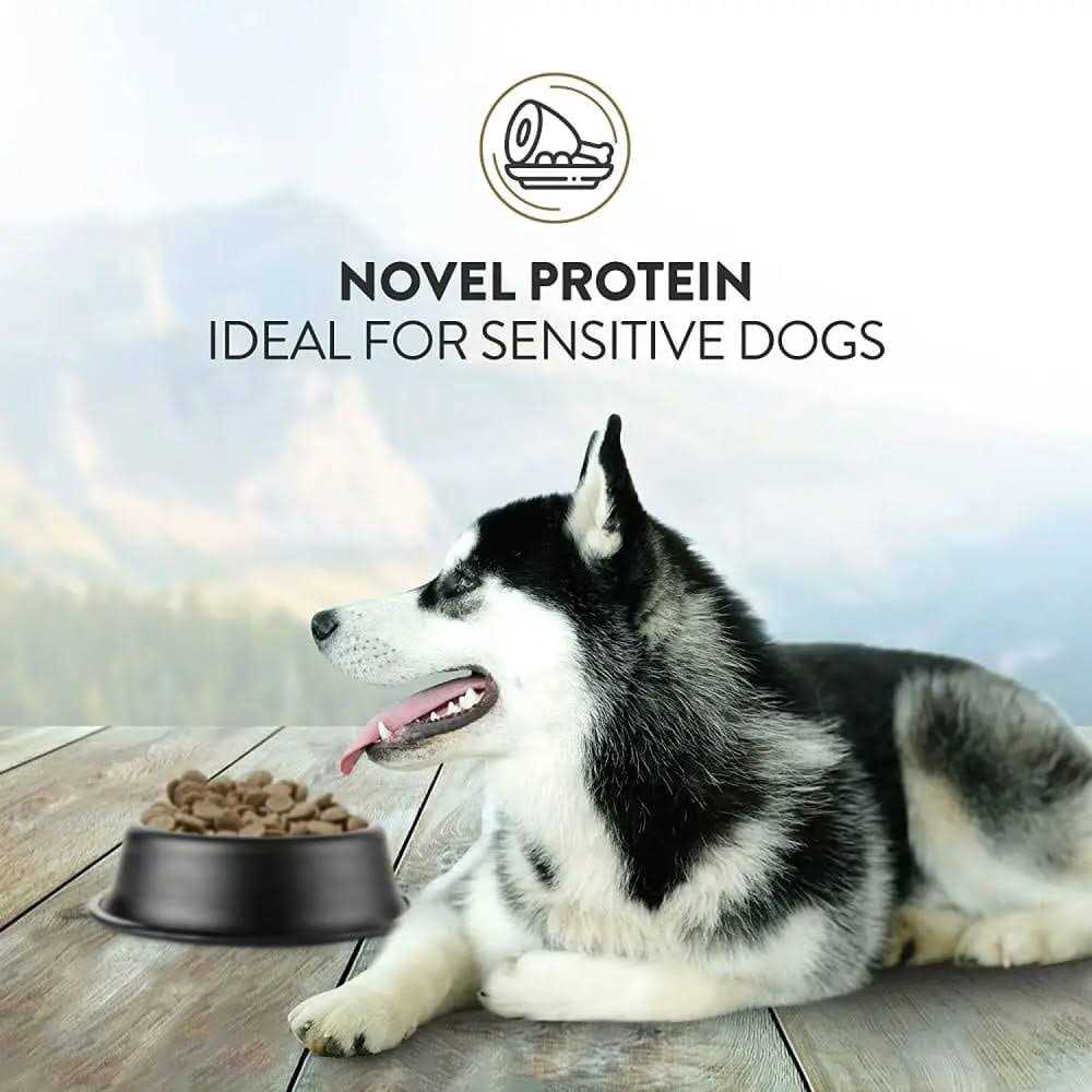 Dry Dog Food C489
