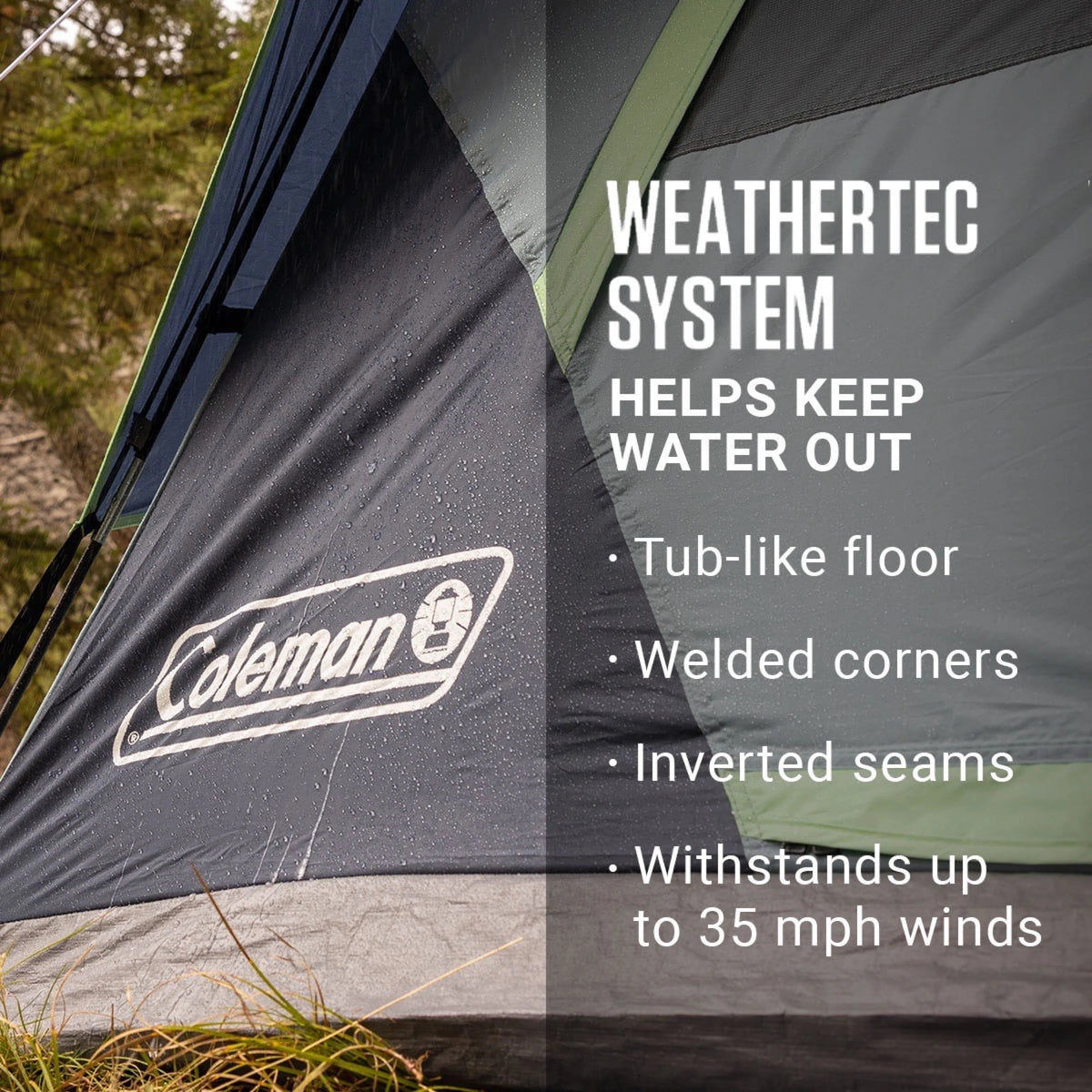6-Person Camping Tent D26647