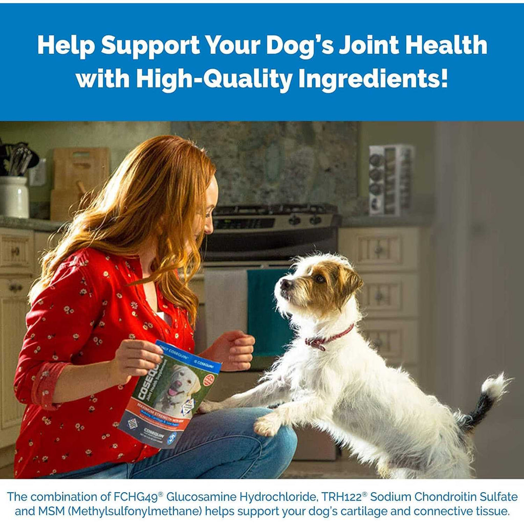 Chewable Tablets for Dogs L6464