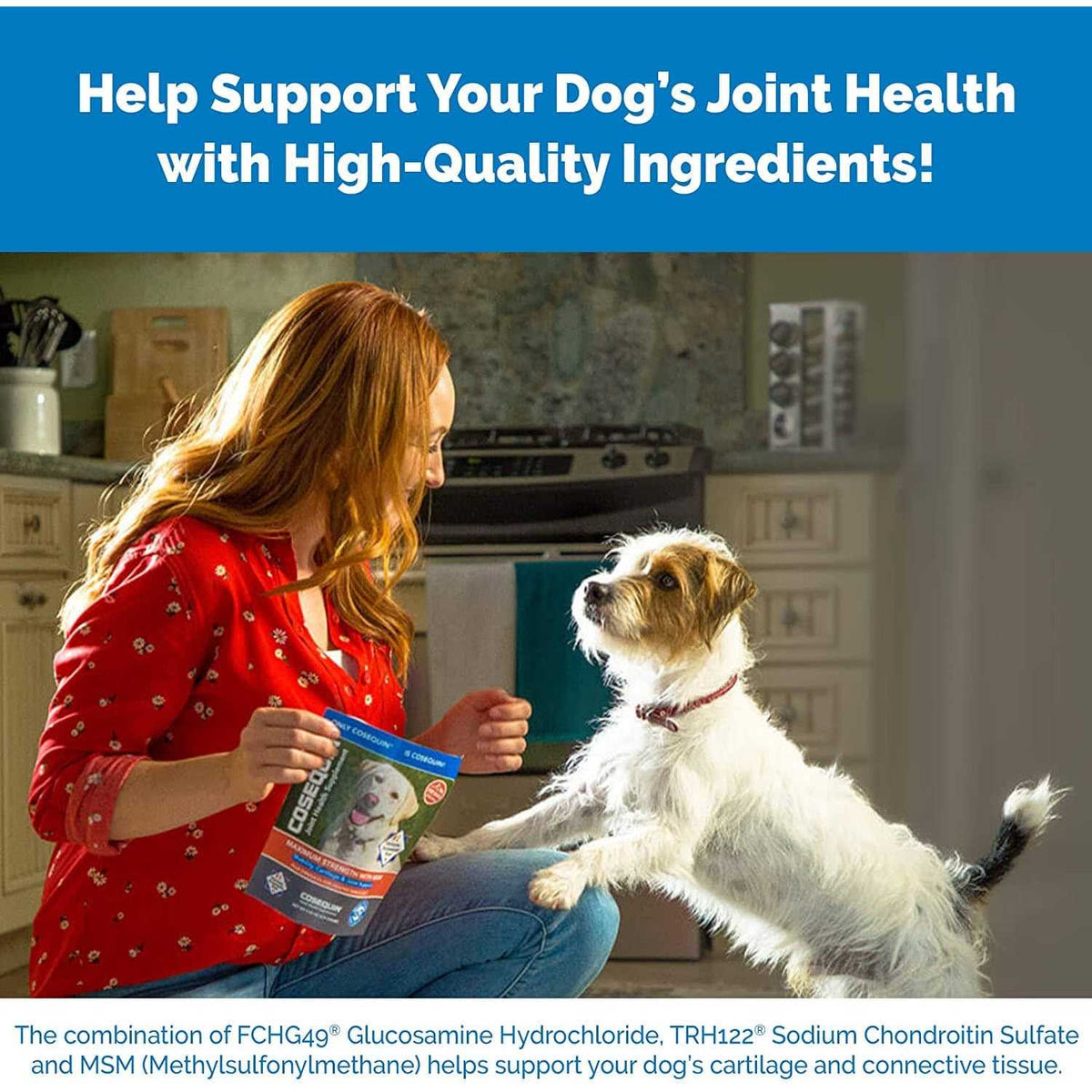Chewable Tablets for Dogs L6464
