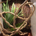 8-Foot Reptile Vines Flexible Jungle Climber S5348