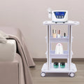 4 Layers Tray Rolling Cart with Wheels V700