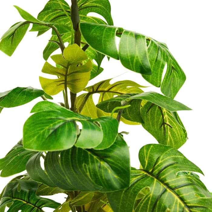Araceae Plant Terrarium Decor C9348