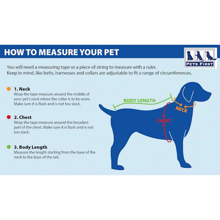 Pet Collar N2998