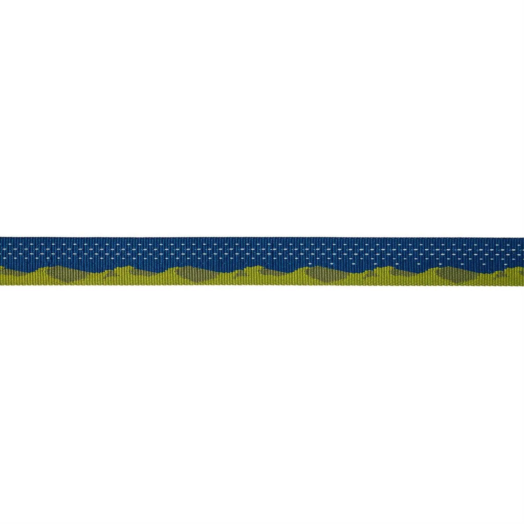 Leash I610935