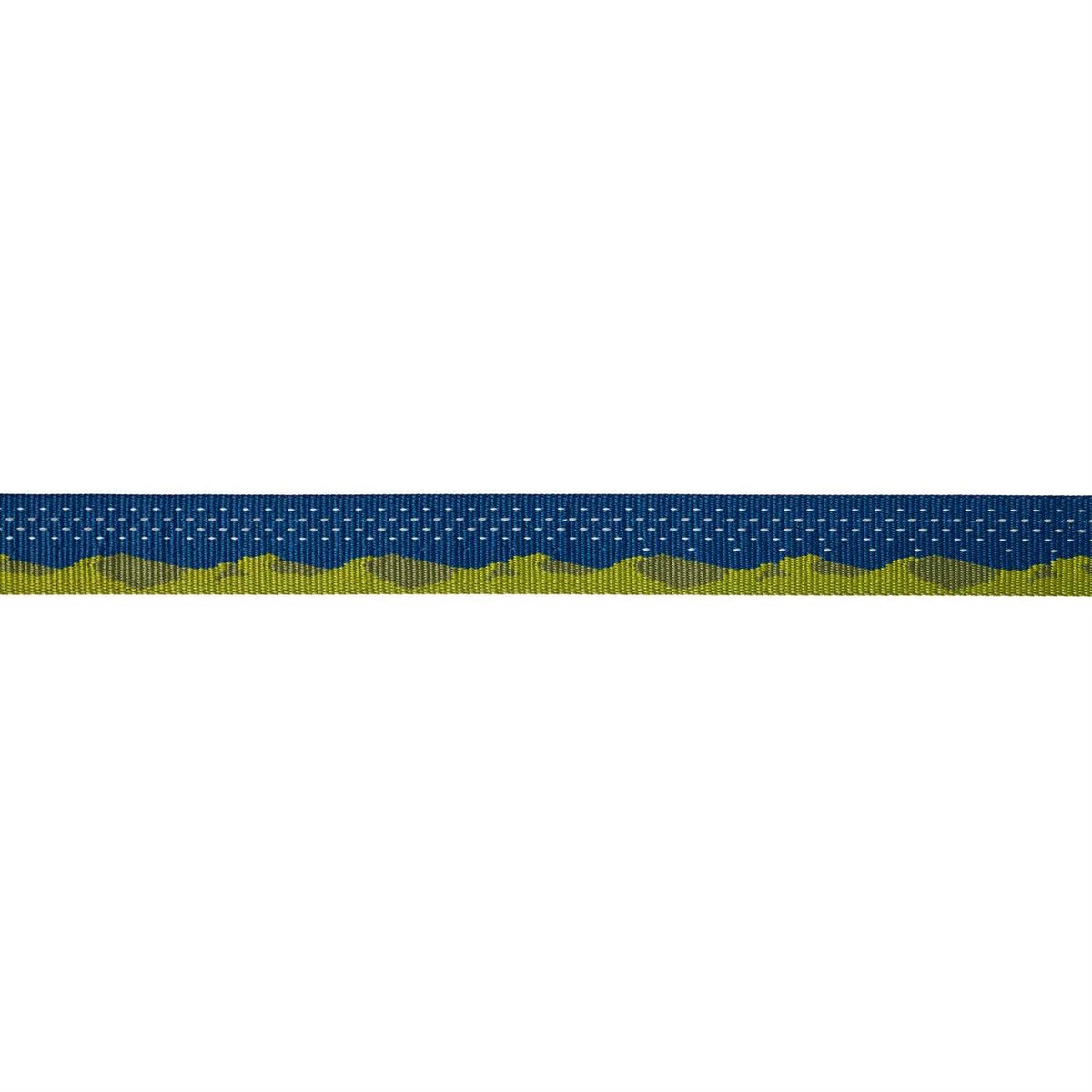 Leash I610935