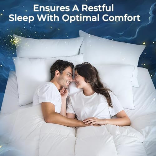 King Size Pillows Set of 4 Down Alternative R7933