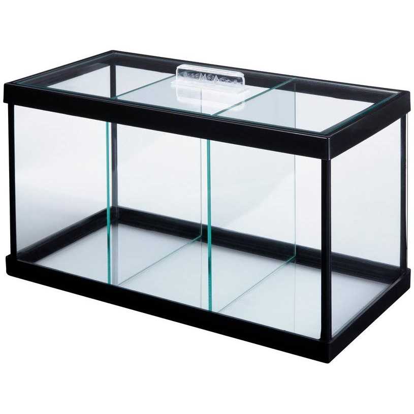 Betta Aquarium with Divider X888550