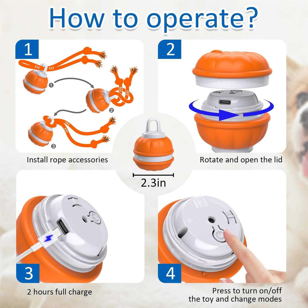 Interactive Dog Toys Motion Activated Dog Ball N313