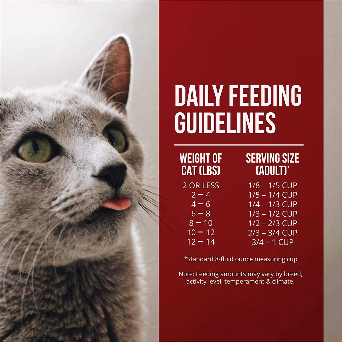 Dry Cat Food Chicken Turkey U4337