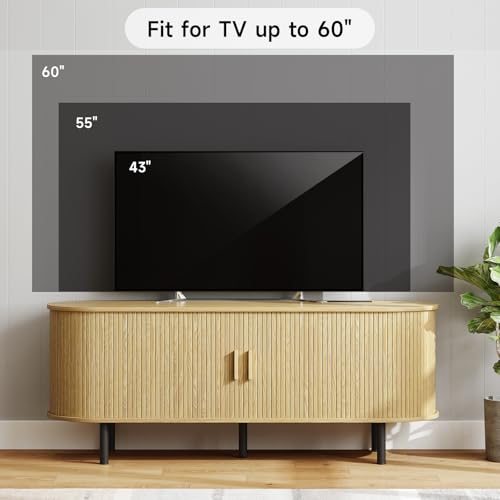 55" TV Stand with Power Outlet and Adjustable Shelves J525767