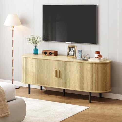 55" TV Stand with Power Outlet and Adjustable Shelves J525767