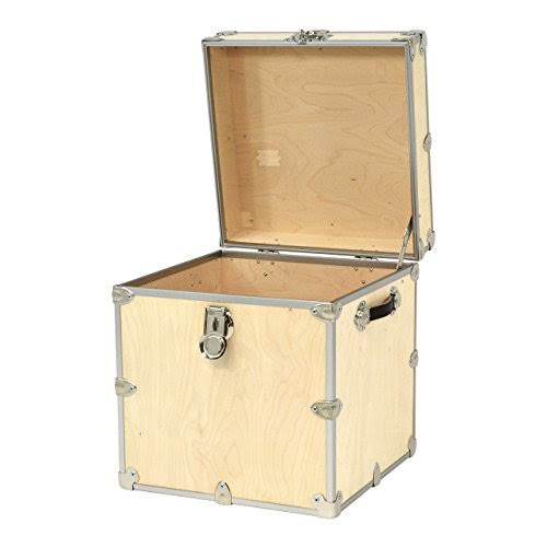Naked Birch Storage Box Wood Trunk J924