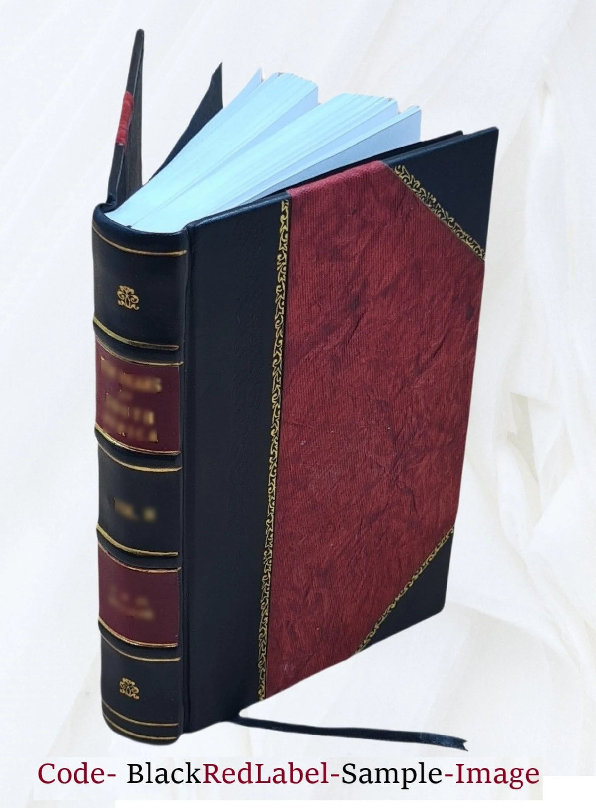 Leather Bound Annual Report of the Board of Park Commissioners K1605
