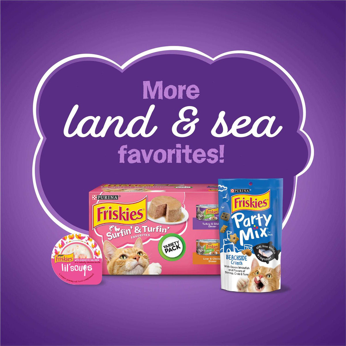 Dry Cat Food X934
