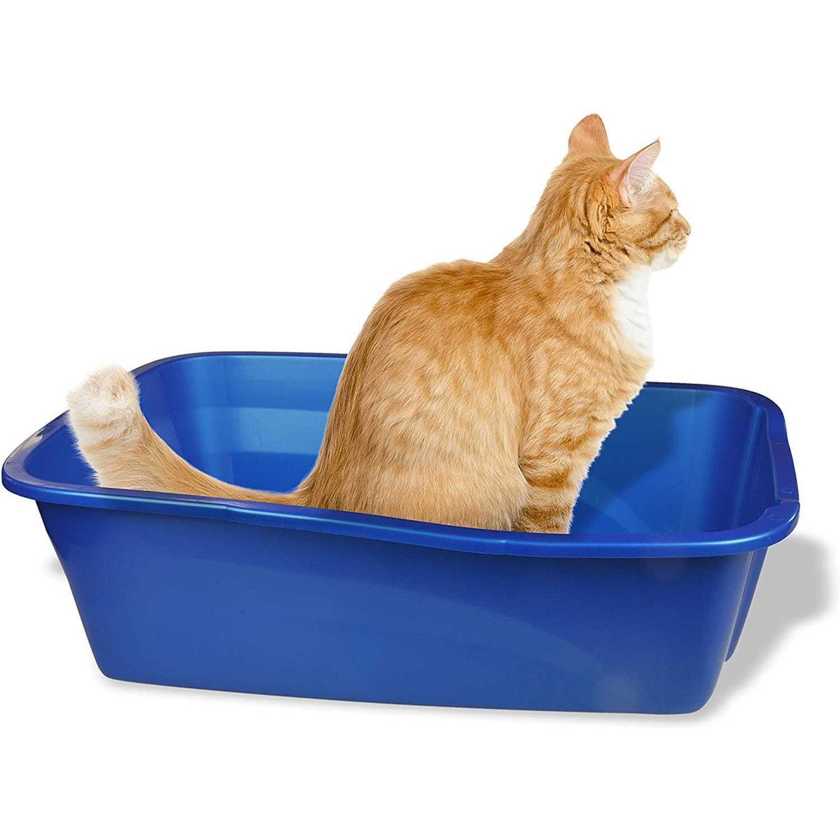 Small Cat Litter Pan J48588