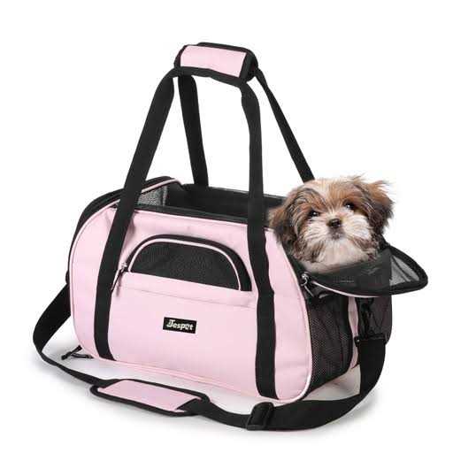Soft Pet Carrier I258076